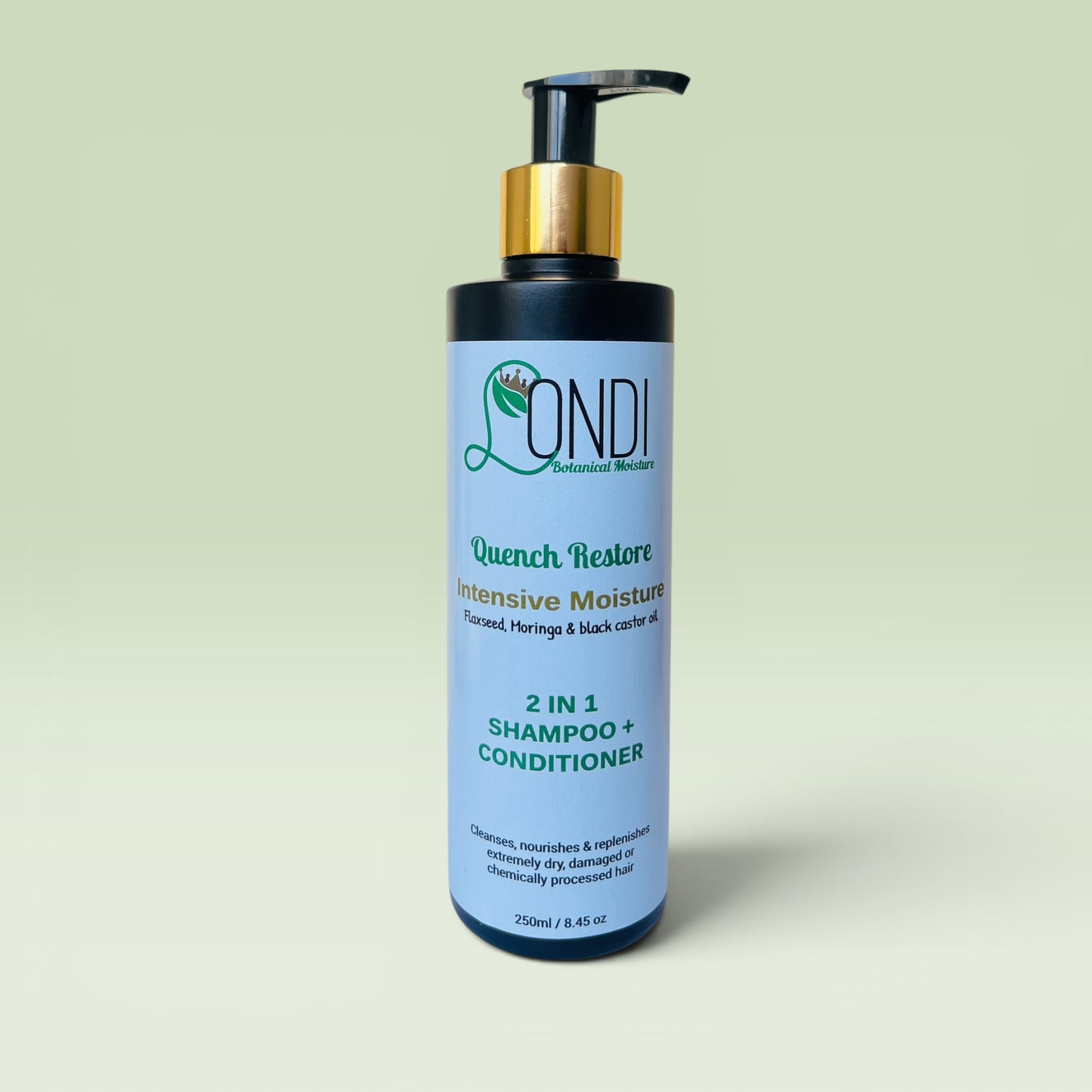 Intensive Moisture 2 IN 1 Shampoo + Conditioner